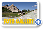 Foto Gallery